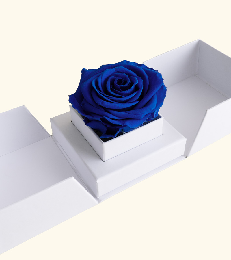 Little Secret Branco de Rosa Azul