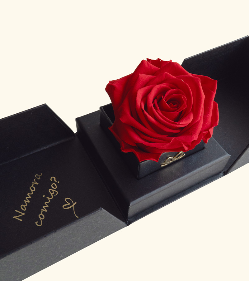 Namora Comigo Preto de Rosa Vermelha | Sem Anel